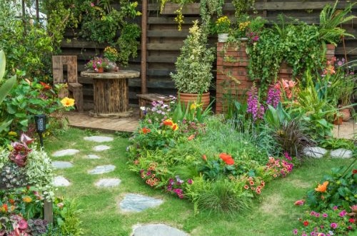 Backyard garden with stone path, potted tree, grass, and various plants and flowers.