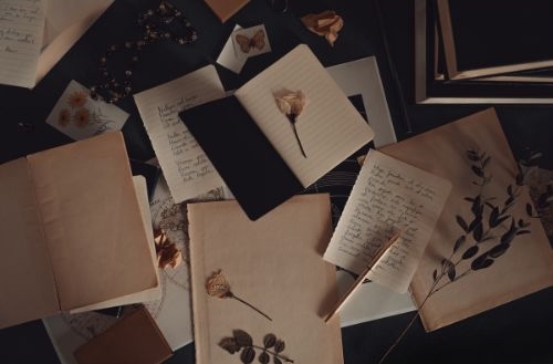 A dimly lit tabletop scene featuring scattered open notebooks, pages of handwritten text, pressed flowers, and botanical illustrations. A dried rose rests on a small black notebook in the center. The overall mood is warm and vintage, evoking a sense of quiet reflection and creative writing.